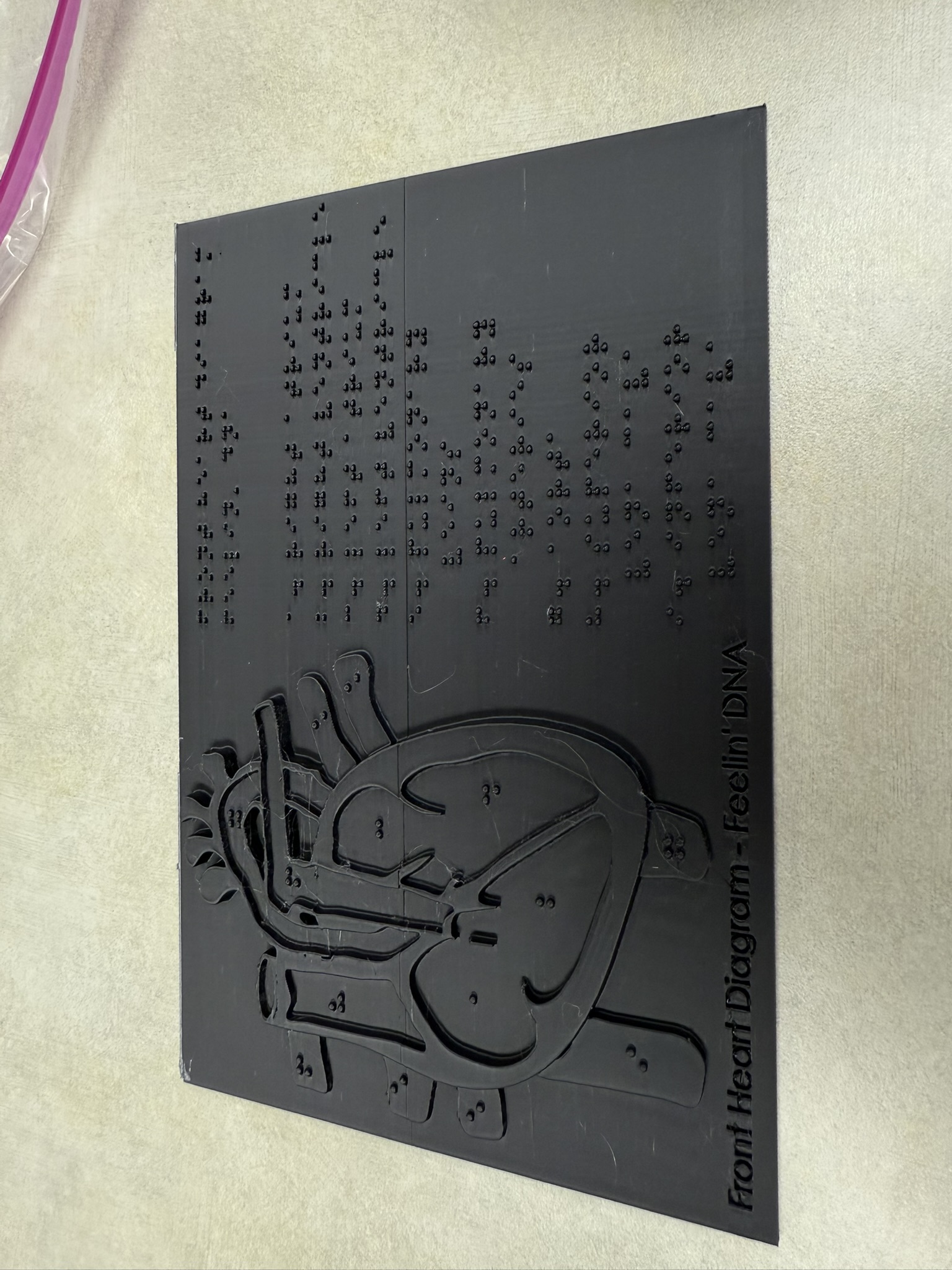 Heart Tactile Diagram